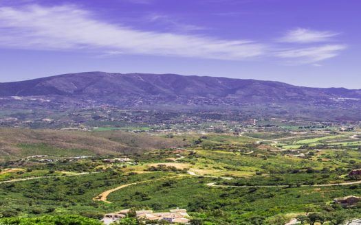 Semi Detached Houses Marbella